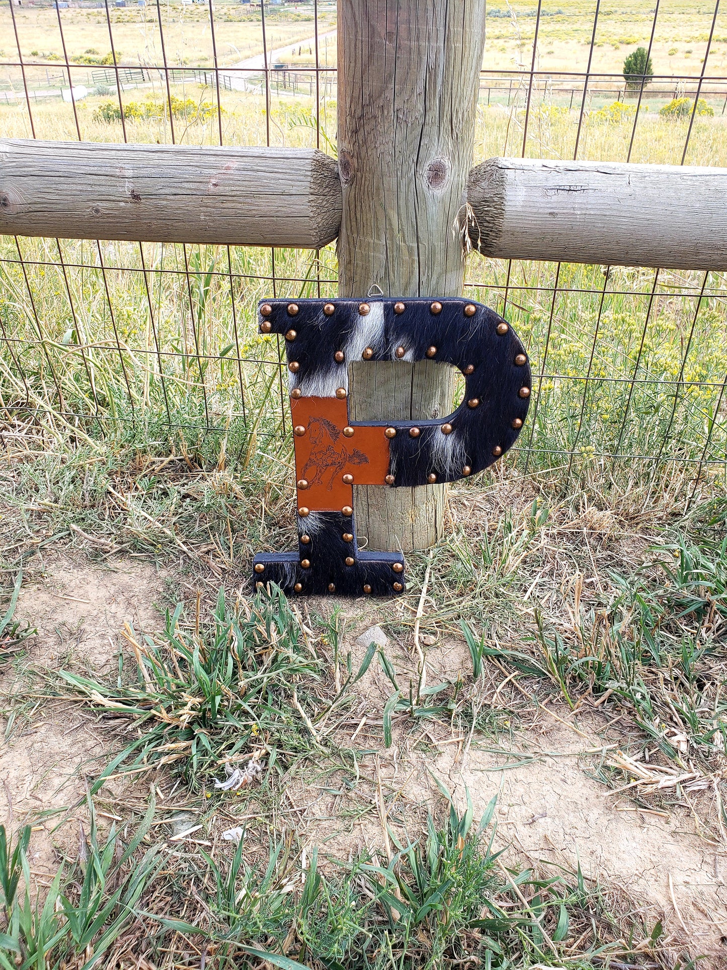 Letter P